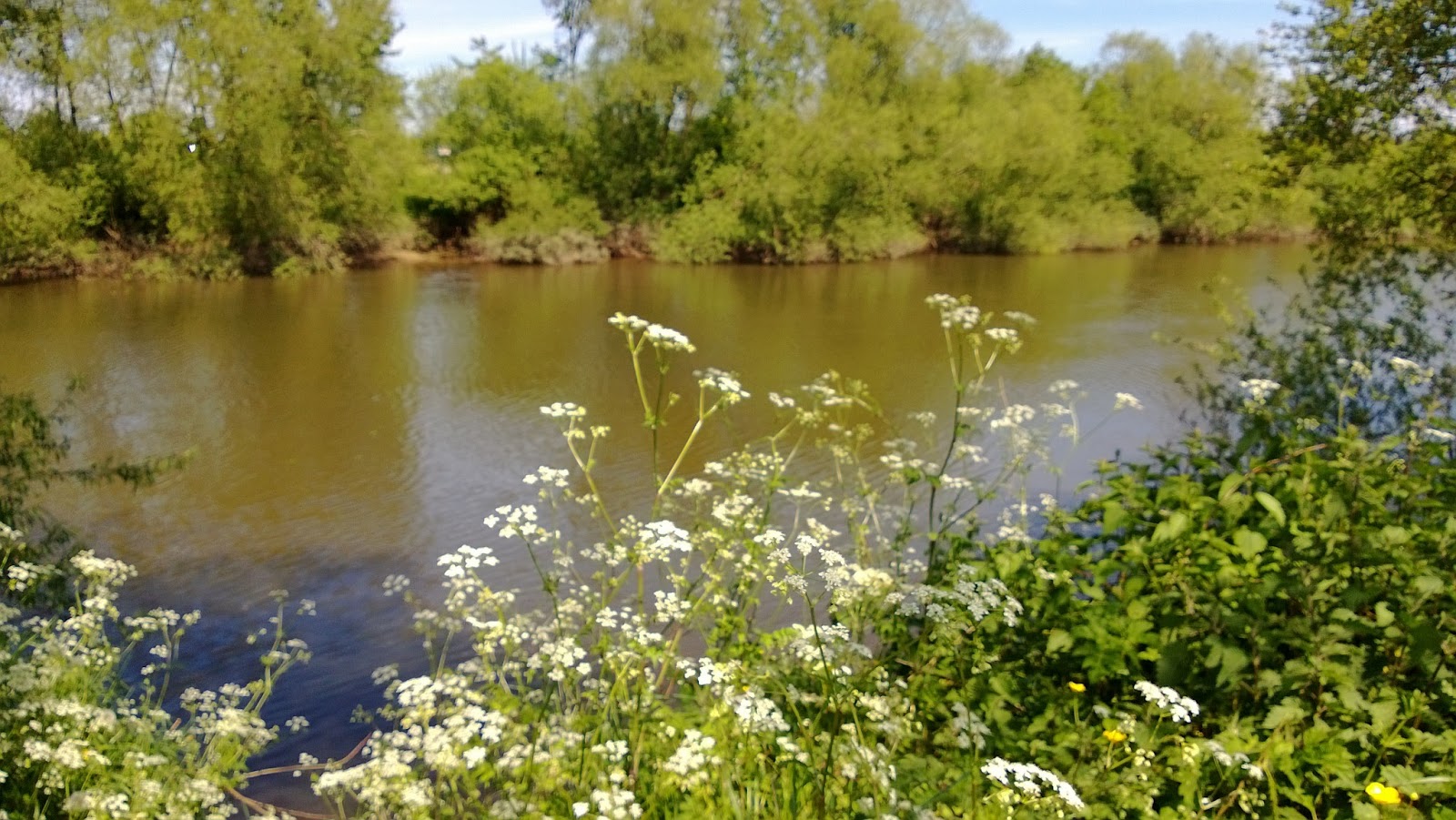 Something Beautiful Everyday Upton Ham, Upton upon Severn, Worcestershire.